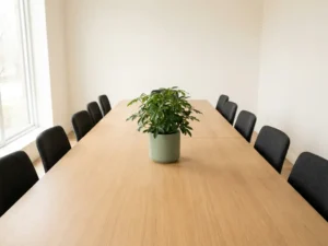 Thriving green plant centered on a long wooden conference table surrounded by empty chairs in a sunlit minimal office.